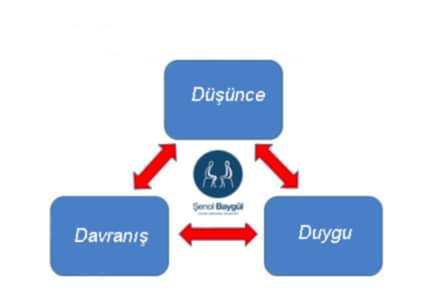 bilissel-davranisci-terapi