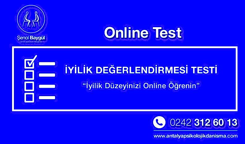 online iyilik değerlendirme testi, psikolojik test